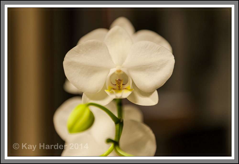 20140117_Ruppersdorf und Labor_027.jpg